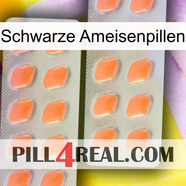 Black Ant Pills 27